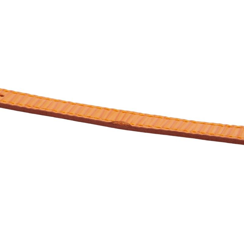 Fendi Change Belt Chameleon 640L Plated Leather Women's Fendi