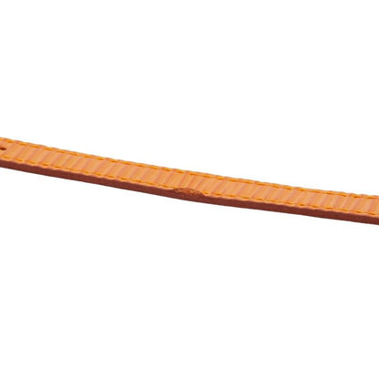 Fendi Change Belt Chameleon 640L Plated Leather Women's Fendi