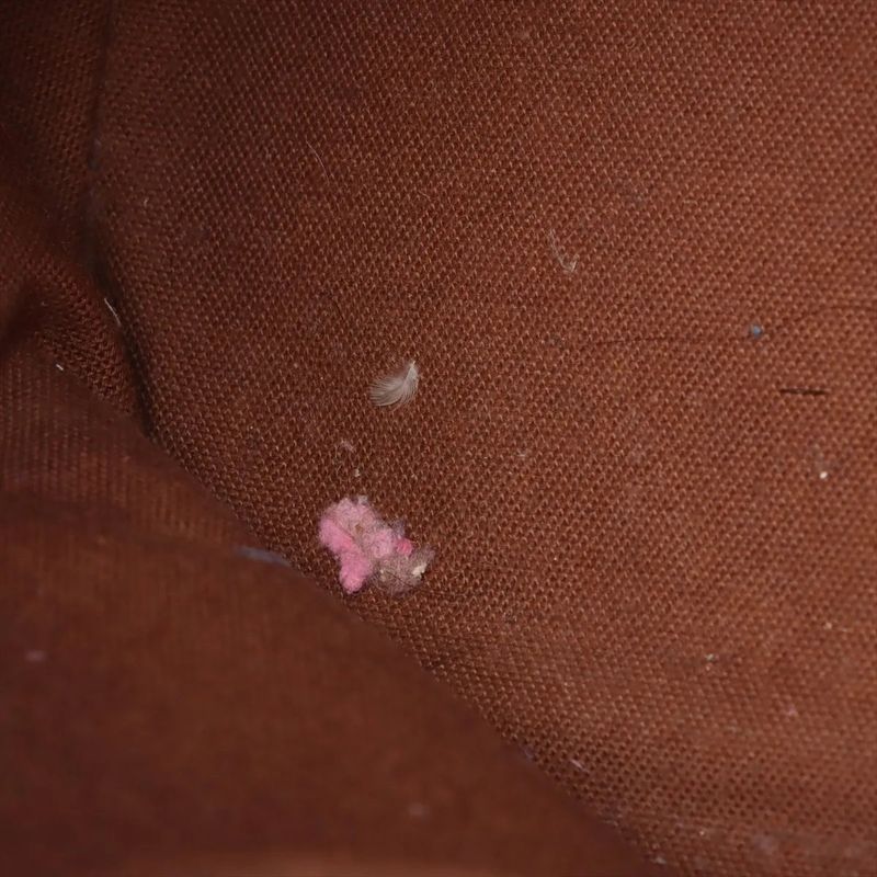 Louis Vuitton Damier Colombine M99037 Leather Tote Bag Shoulder Genuine Leather