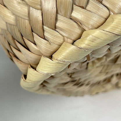 Celine Triomphe Pannier 2way Shoulder Bag Basket Bag Mini Handbag Raffia Beige