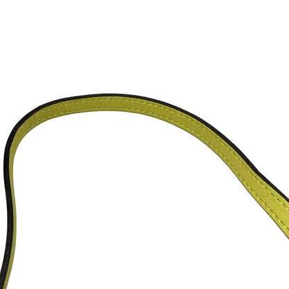 Loewe Shoulder Bag Flamenco Pocket Light Green Phone Pouch Mini Bag Diagonal