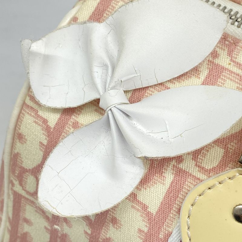 Christian Dior Handbag Trotter Flower PVC Pink White Silver Hardware Women