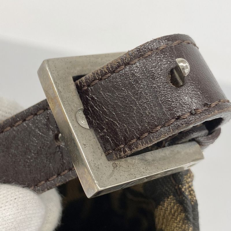 Fendi Handbag Zucca Nylon Canvas Brown Silver Hardware Women