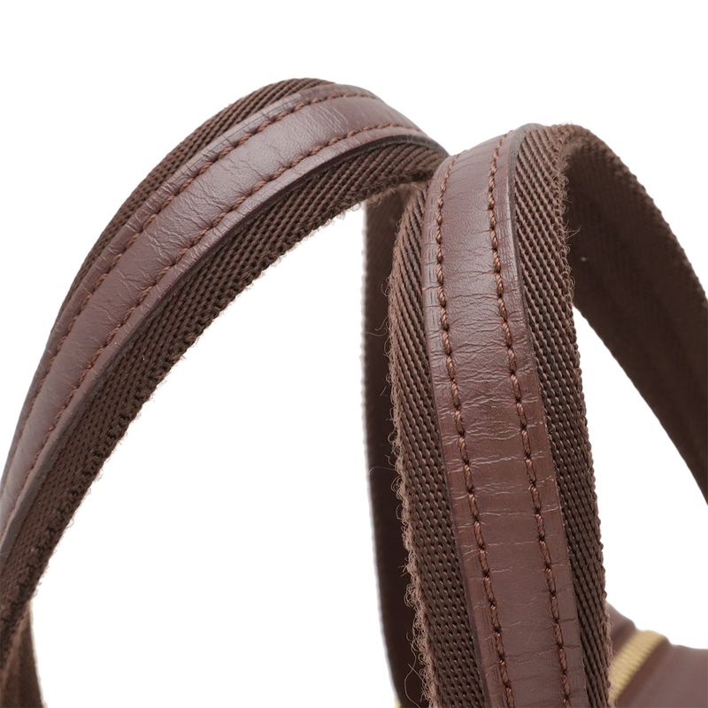 Louis Vuitton Monogram Mini Josephine PM Handbag Mini Boston Canvas Leather