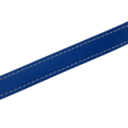 Goyard Shoulder Bag Petit Flo Blue Leather