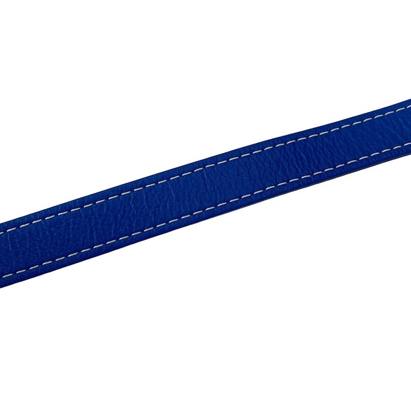 Goyard Shoulder Bag Petit Flo Blue Leather