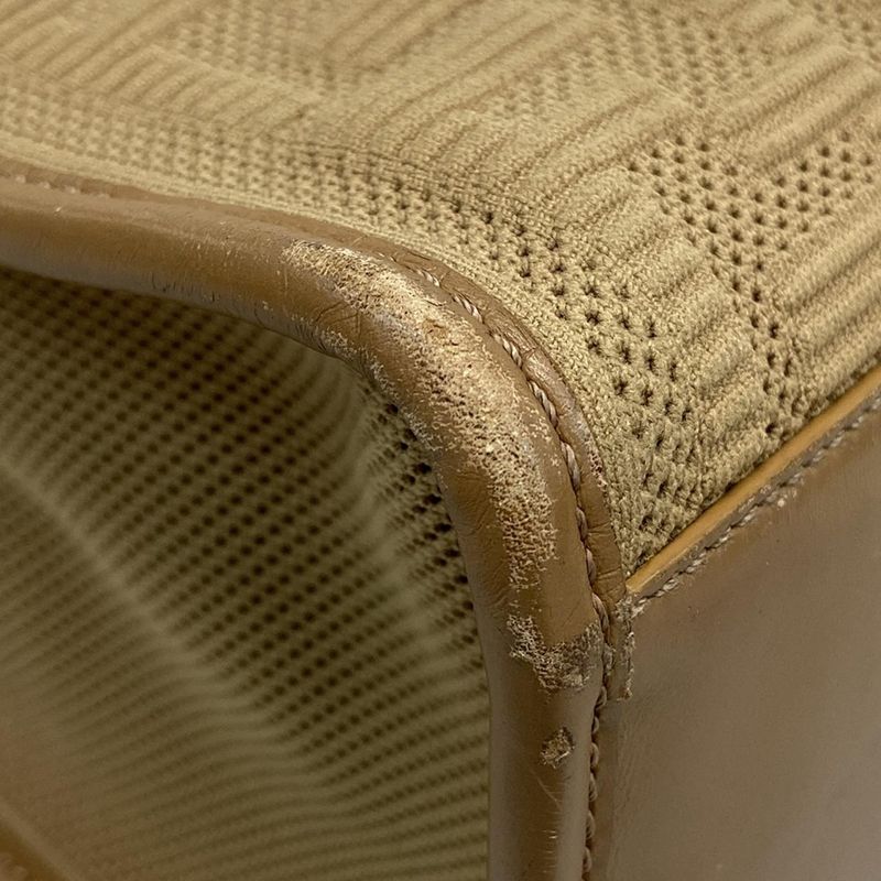 Fendi Tote Bag Sunshine Medium 8bh386-ahwc Beige Tortoiseshell Plexiglas Handle