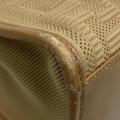 Fendi Tote Bag Sunshine Medium 8bh386-ahwc Beige Tortoiseshell Plexiglas Handle