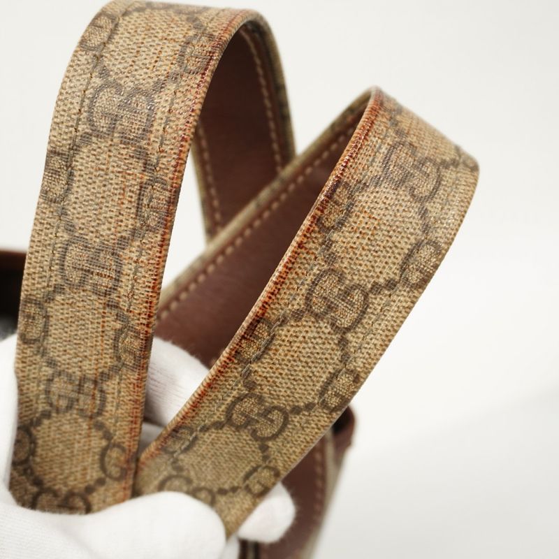 Gucci Tote Bag GG Supreme Sherry Line 211134 PVC Brown Chien Pan Gold Hardware