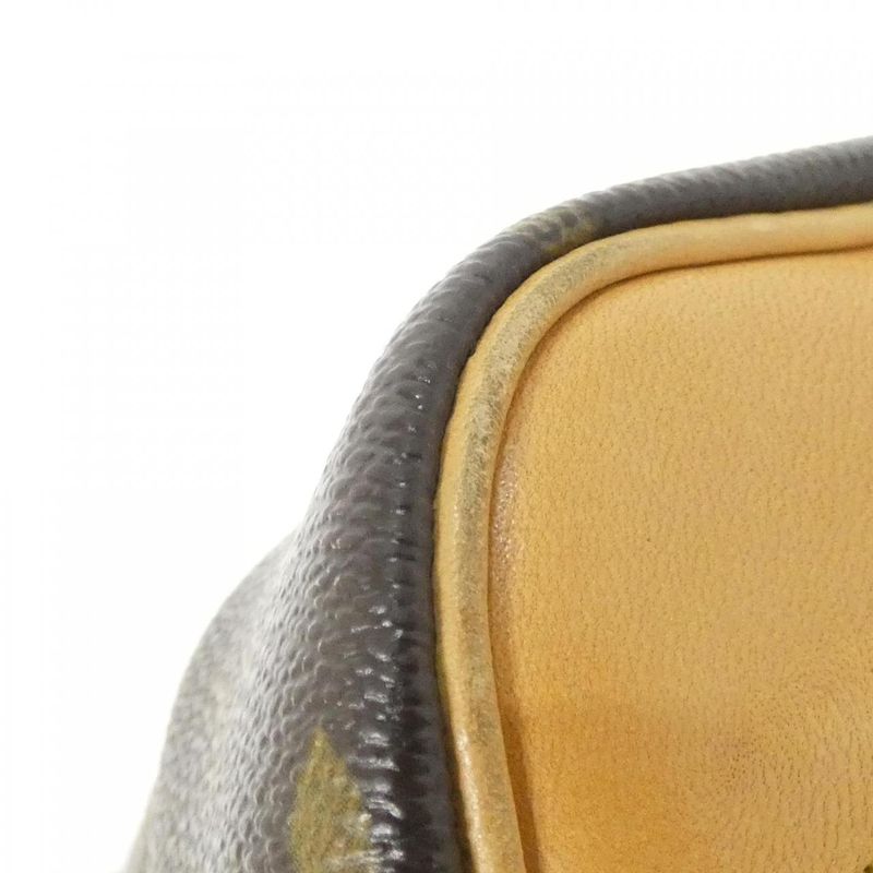 Louis Vuitton Monogram Amazon M45236 Shoulder Bag