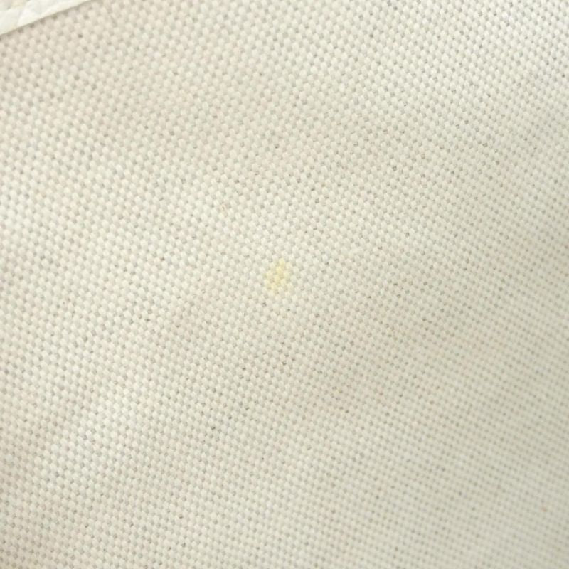 Goyard Saint Louis PM Ama Louis PM Bag