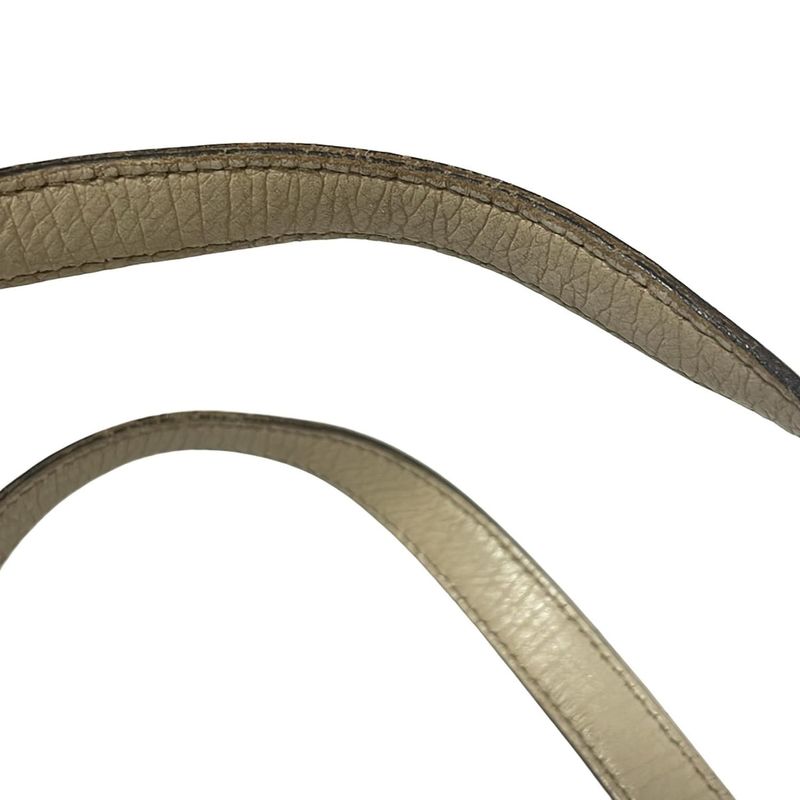 Gucci Tote Bag GG Patternsherry (Web) 139260 Light Brown X Dark Brown X Multi