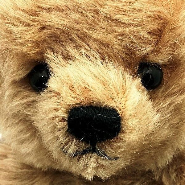 Tiffany & Co Love Classic Teddy Bear 683275 Steiff Plush Unisex