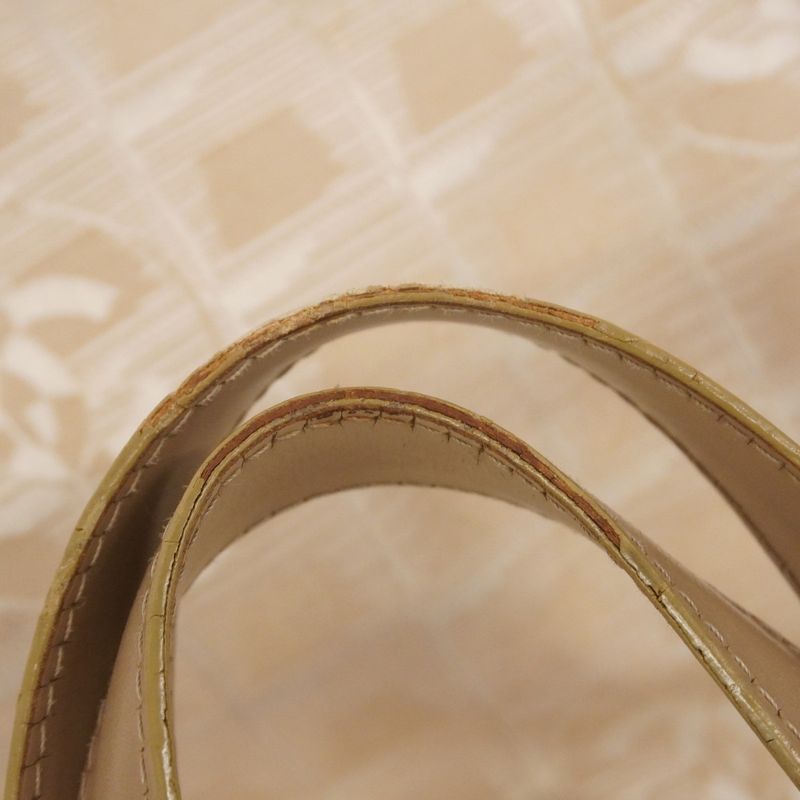 Chanel Tote New Travel Nylon Beige Chien Pan Gold Hardware Women's