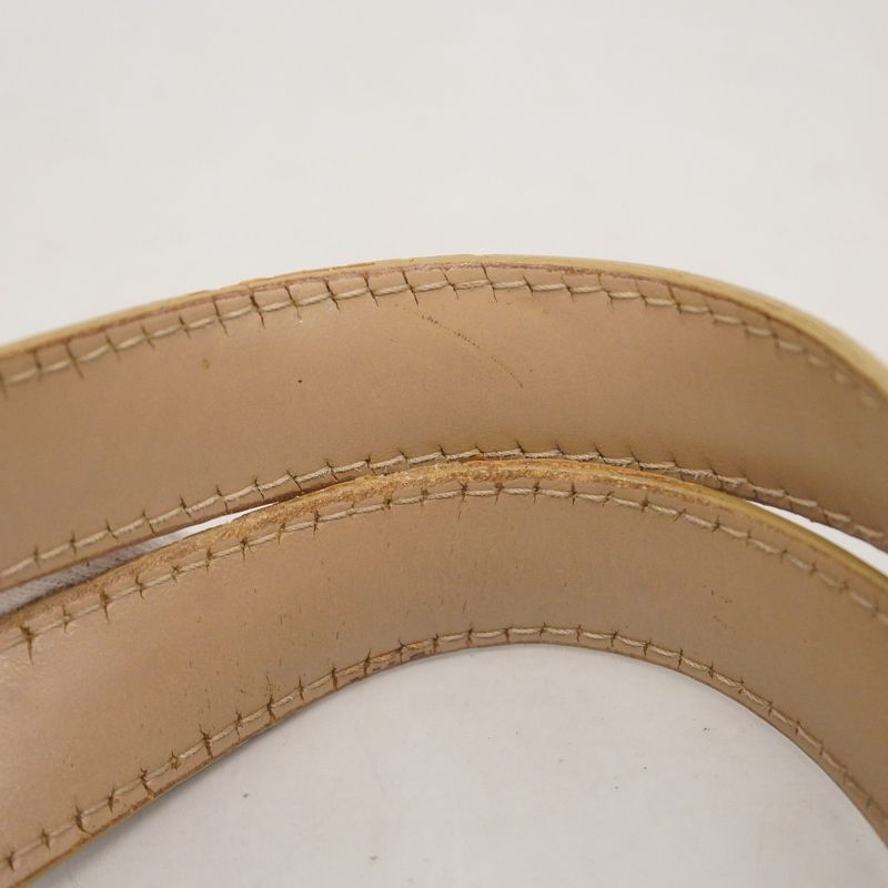 Chanel Tote New Travel Nylon Beige Chien Pan Gold Hardware Women's