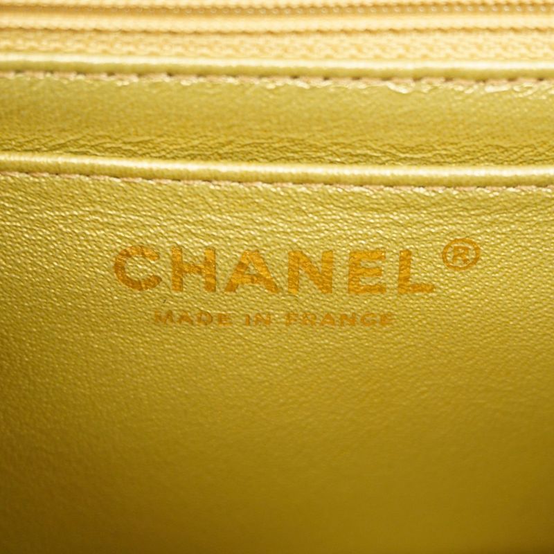 Chanel Shoulder Bag 2.55 Metallic Leather Multicolor Chien Pan Gold Hardware