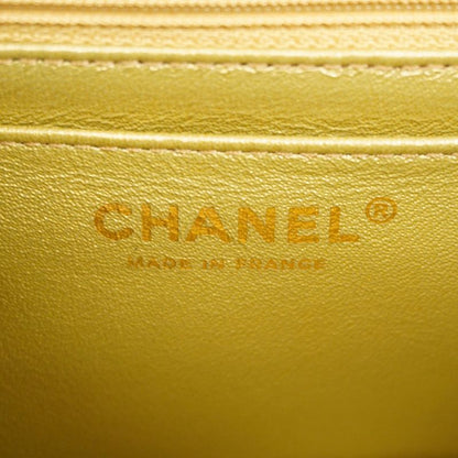 Chanel Shoulder Bag 2.55 Metallic Leather Multicolor Chien Pan Gold Hardware
