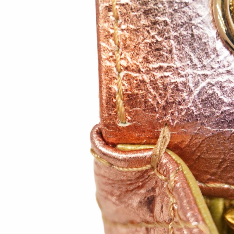 Chanel Shoulder Bag 2.55 Metallic Leather Multicolor Chien Pan Gold Hardware