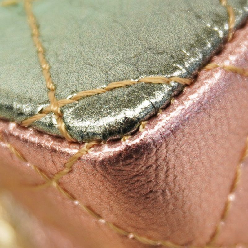 Chanel Shoulder Bag 2.55 Metallic Leather Multicolor Chien Pan Gold Hardware