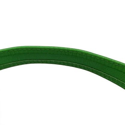 Bottega Veneta Shoulder Bag Candy Cassette Paraquito (Green) Mini Bag Leather