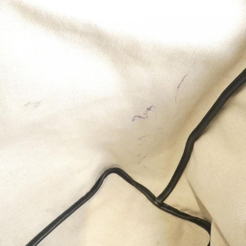 Goyard Saint Louis PM Ama Louis PM Bag