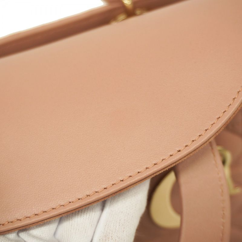 Christian Dior Handbag Canage Lady Dior Leather Pink Chien Pan Gold Hardware