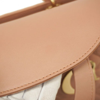 Christian Dior Handbag Canage Lady Dior Leather Pink Chien Pan Gold Hardware