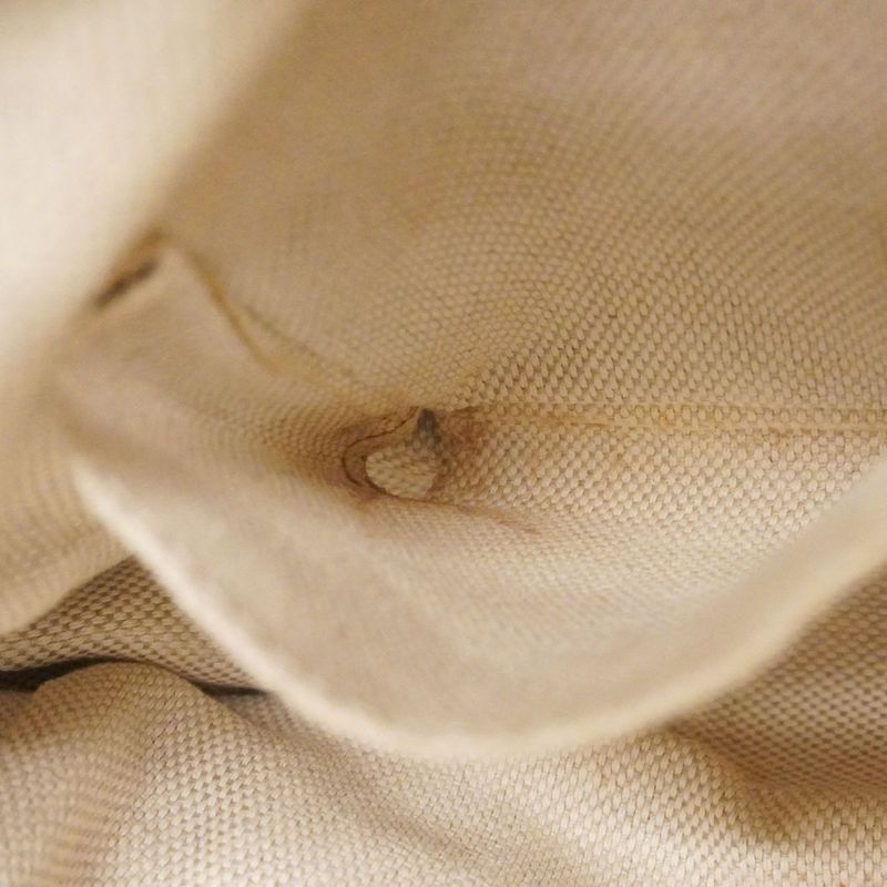 Gucci Shoulder Bag Soho 308983 Leather Beige Chien Pan Gold Hardware Women