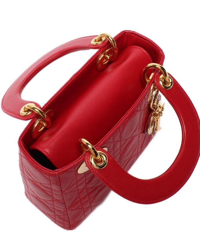 Christian Dior 2way Handbag Shoulder Bag Shoulder Canage Lady Dior Mini Women