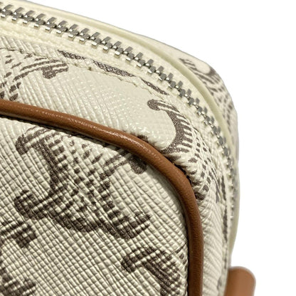 Celine Shoulder Bag Excellent Condition Medium Messenger Bag/triomphe Canvas