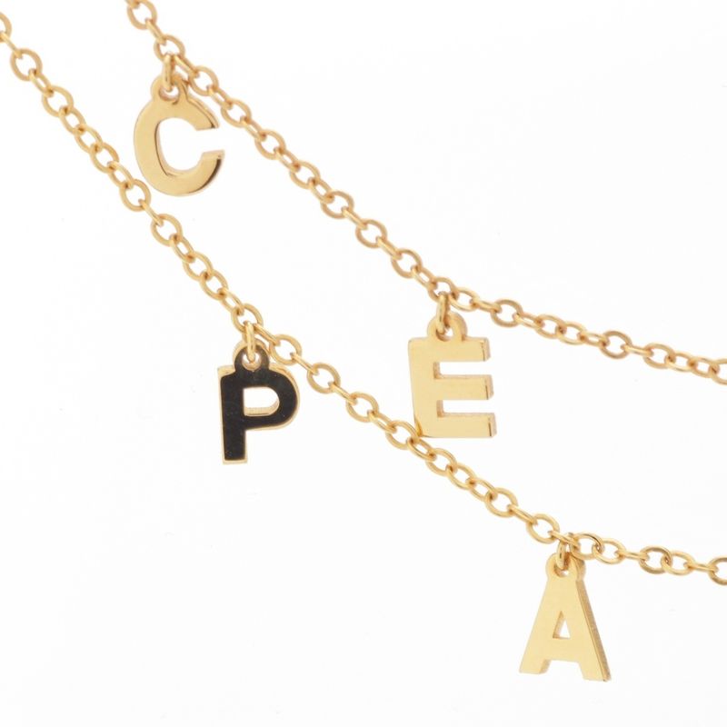 Celine Logo and Initials 2strands Necklace Accessories Gold