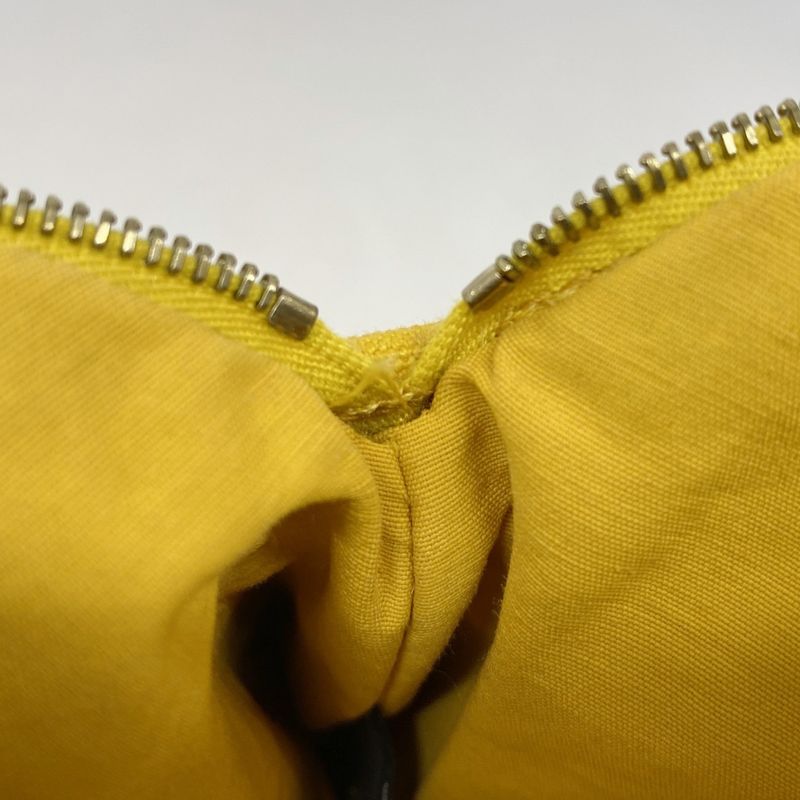 Hermes Pouch Bolide Pouch Canvas Yellow Chien Pan Gold Hardware Women