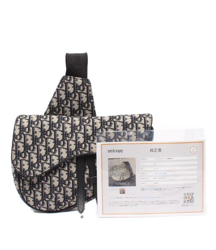 Christian Dior Body Bag Canvas Saddle Bag 16bo0262 Men's Christian Dior