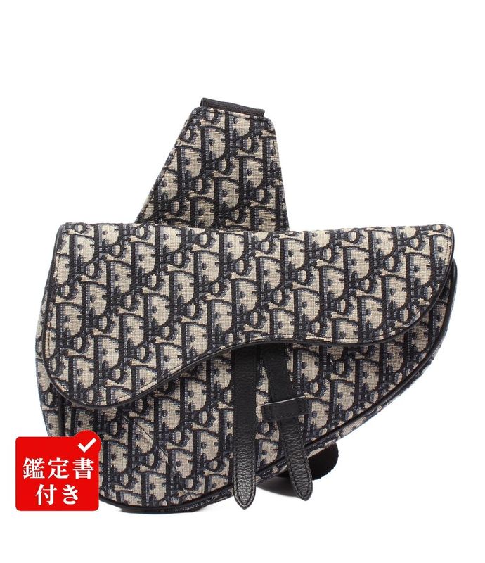Christian Dior Body Bag Canvas Saddle Bag 16bo0262 Men's Christian Dior