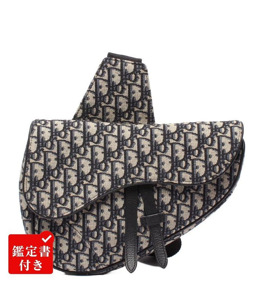 Christian Dior Body Bag Canvas Saddle Bag 16bo0262 Men's Christian Dior