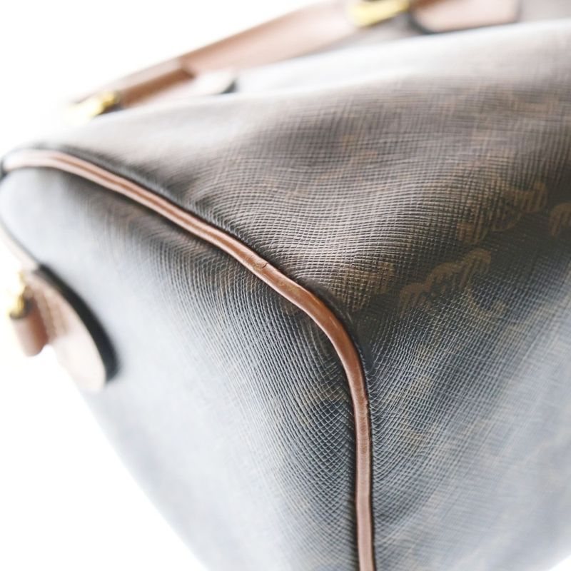 Celine Triomphe PVC Leather 2way Small Hand Shoulder Boston Bag Gold Hardware