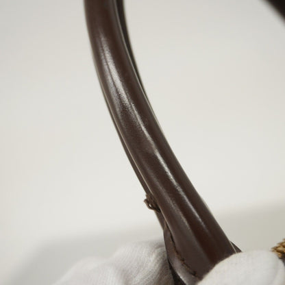 Louis Vuitton Handbag Damier Trevi PM N51997 Ebene 2way bag [Used]