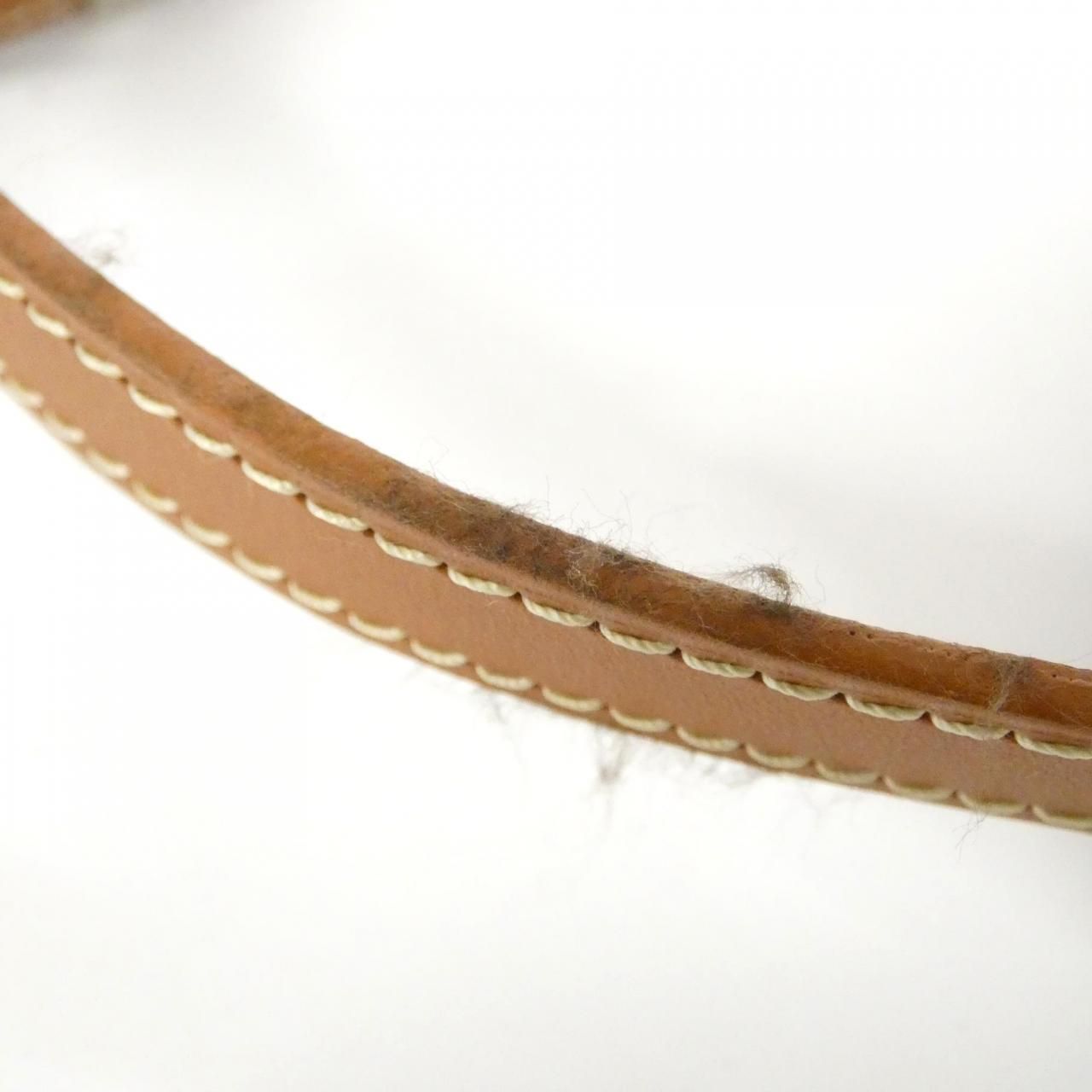 Goyard Cup Vert Ama Capvert Shoulder Bag