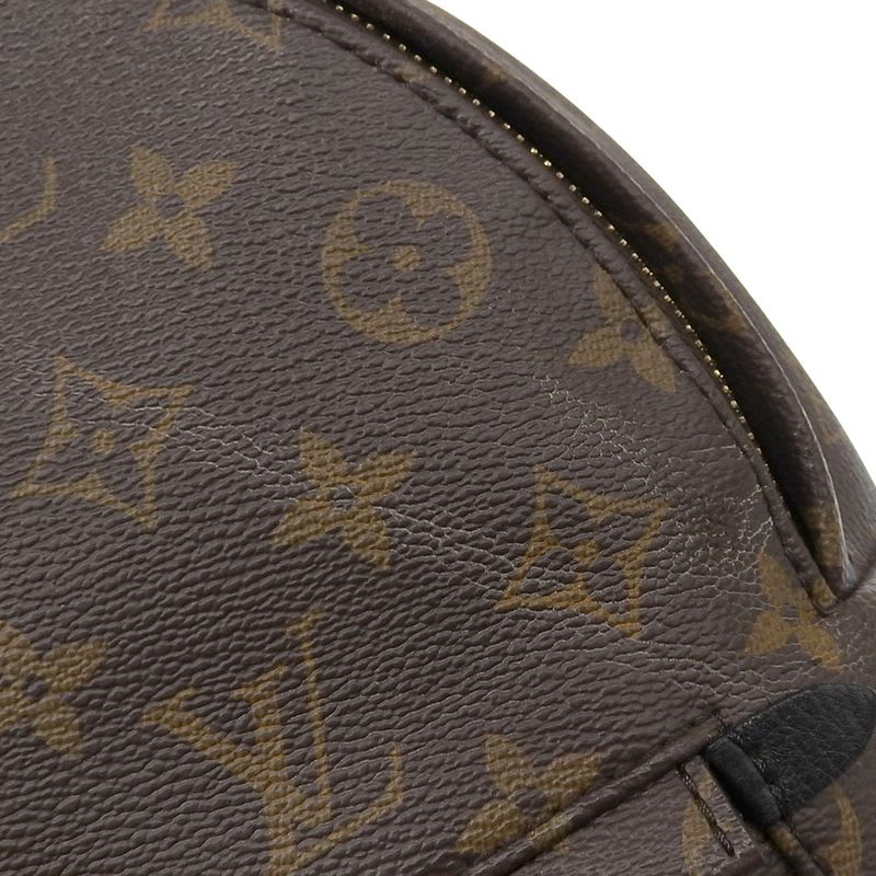 Louis Vuitton Monogram Palm Springs Backpack Rucksack Daypack