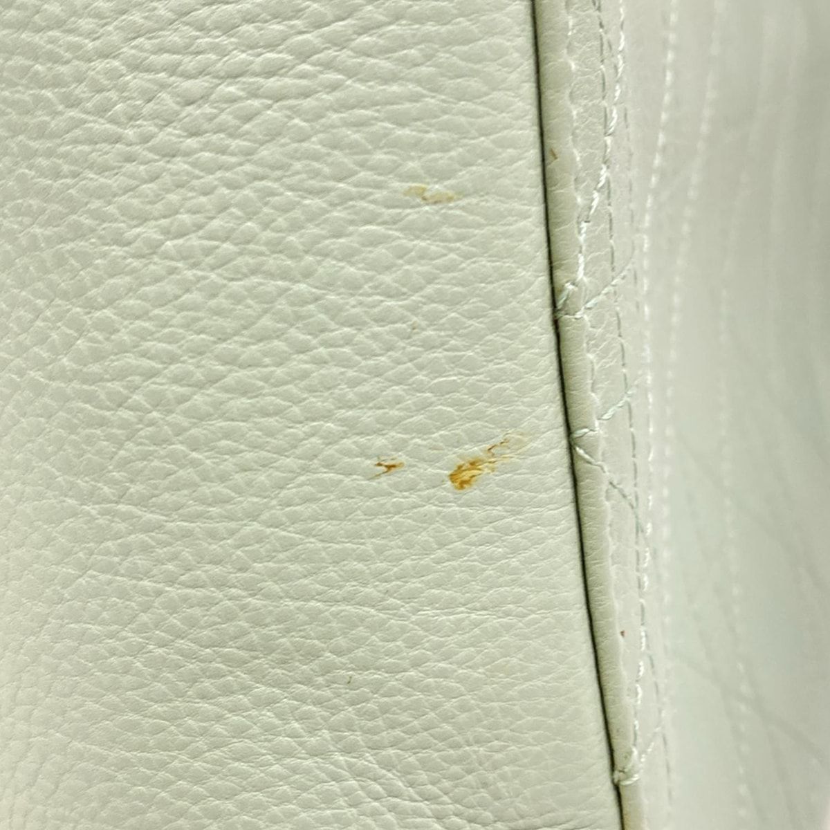 Dior/christian Dior Handbag Lady Dior Medium Bag Light Green Silver Hardware