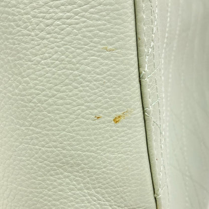 Dior/christian Dior Handbag Lady Dior Medium Bag Light Green Silver Hardware