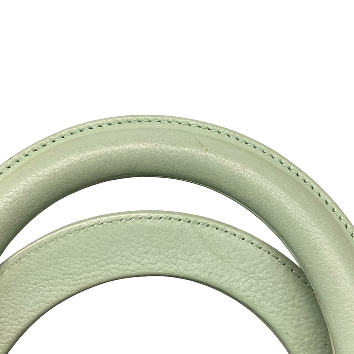 Dior/christian Dior Handbag Lady Dior Medium Bag Light Green Silver Hardware