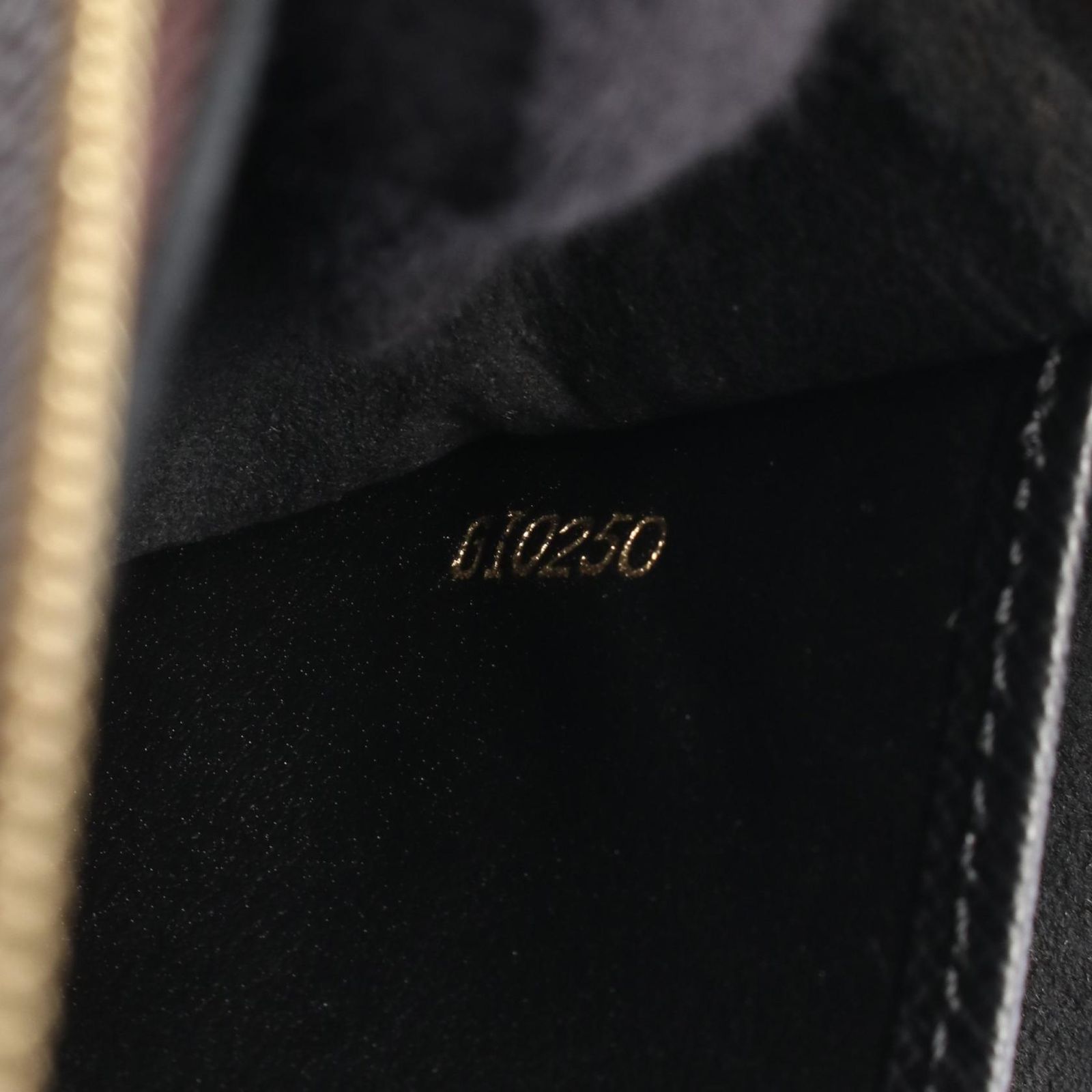 Louis Vuitton Shoulder Bag Pochette Double Zip M69203 PVC Coated Canvas Leather