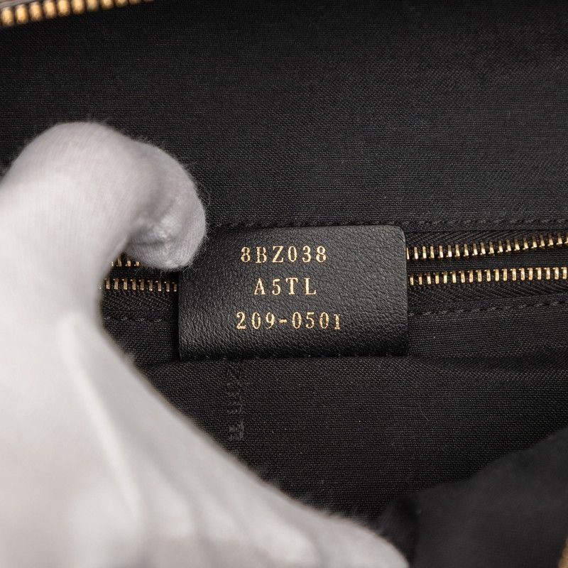 Fendi Zucca Rucksack Backpack 8bz038 Brown Black Leather Women's Fendi