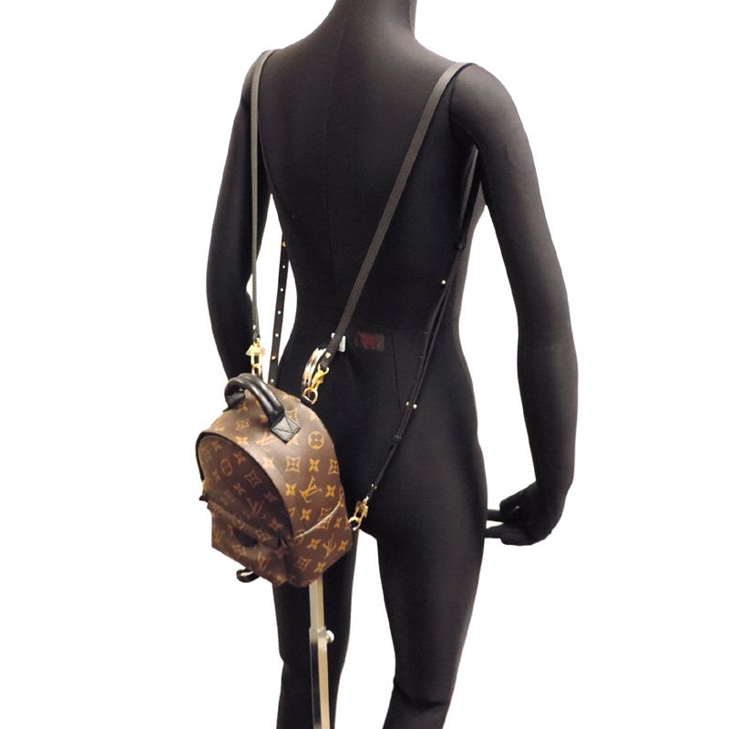 Louis Vuitton Rucksack Daypack
