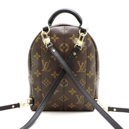 Louis Vuitton Rucksack Daypack