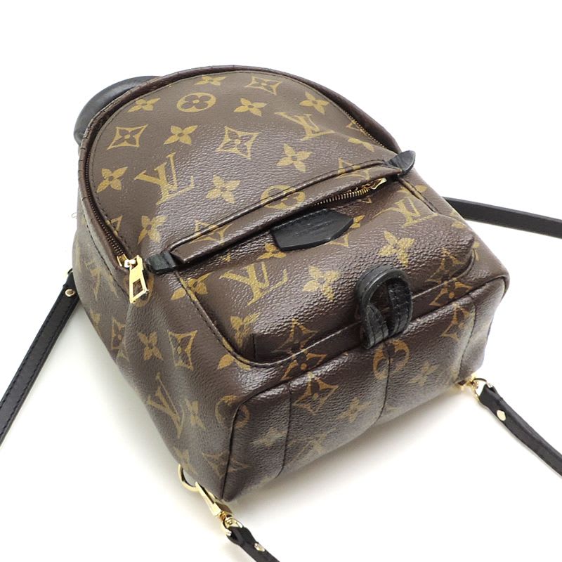 Louis Vuitton Rucksack Daypack