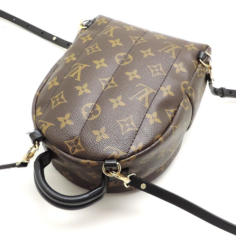 Louis Vuitton Rucksack Daypack