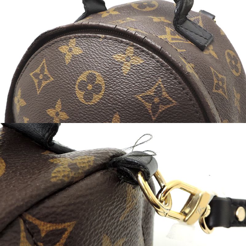 Louis Vuitton Rucksack Daypack