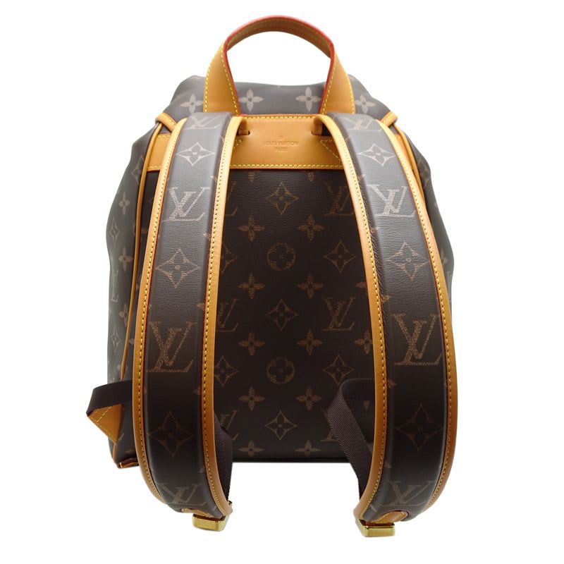 Louis Vuitton Backpack Daypack